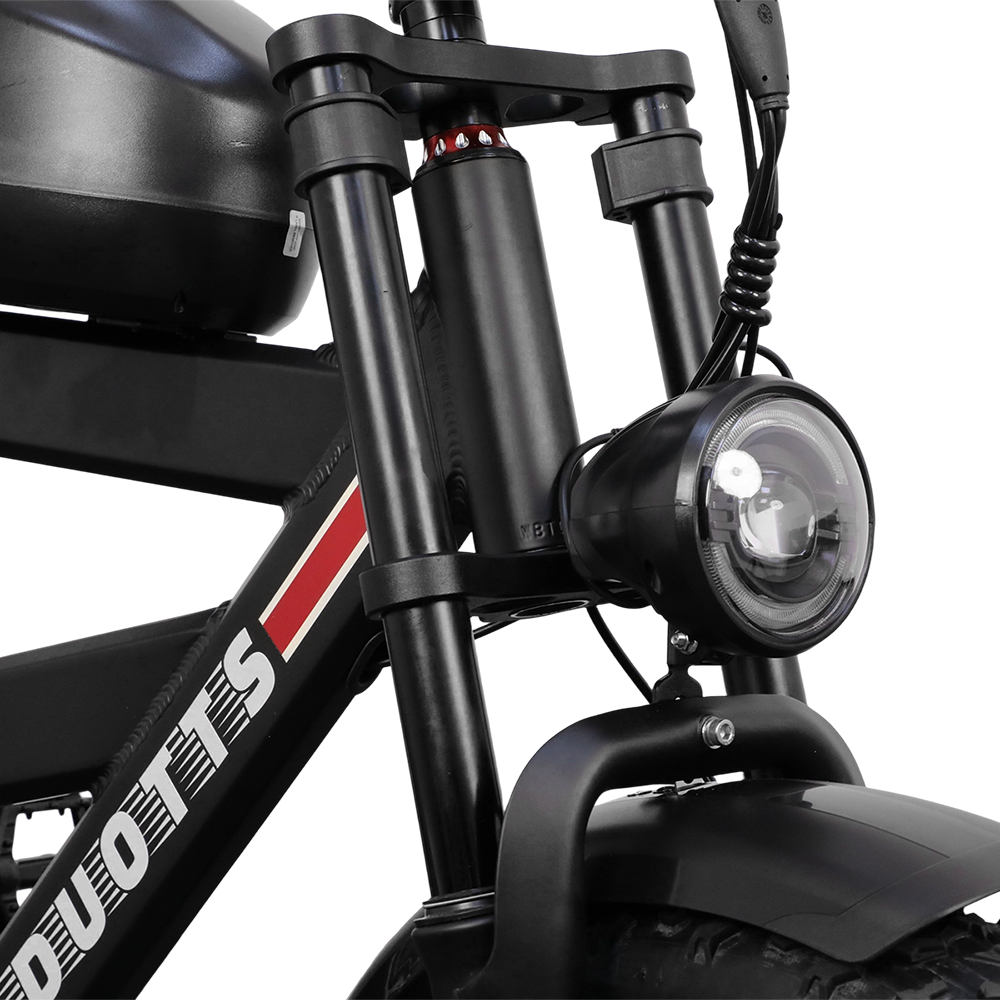 DUOTTS F20 Rear Hub Motor 52V 27Ah  Electric Mountain Bike - JE ECORIDE 