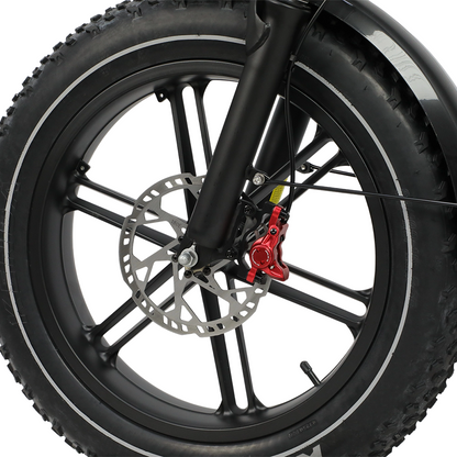 DUOTTS F20 Rear Hub Motor 52V 27Ah  Electric Mountain Bike - JE ECORIDE 