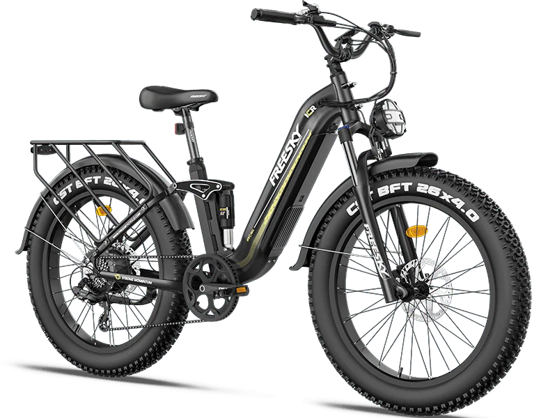 Wild Cat A-340 Electric Bike