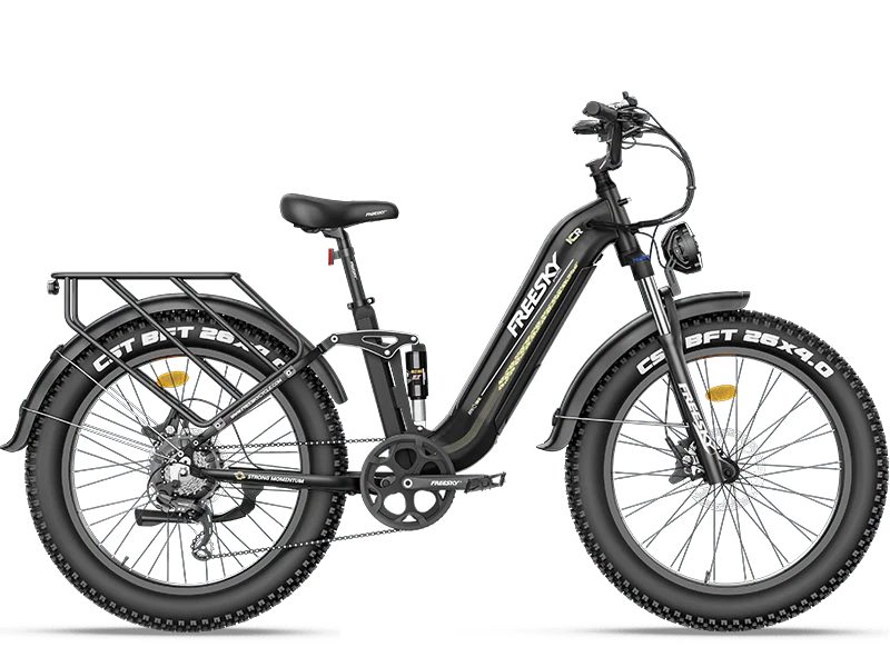 Wild Cat A-340 Electric Bike