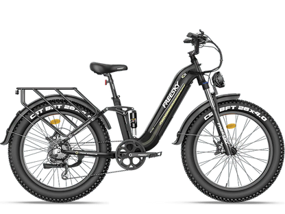 Wild Cat A-340 Electric Bike