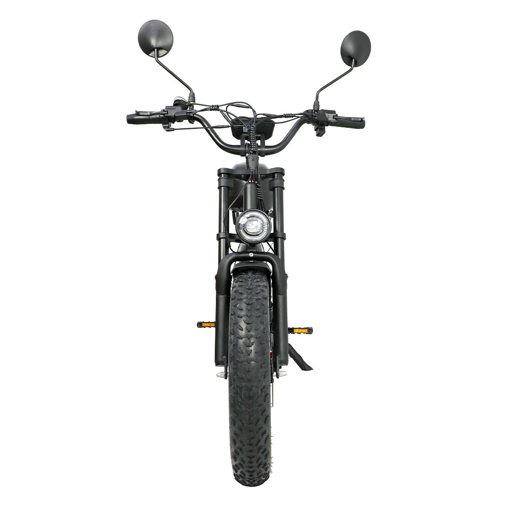 DUOTTS F20 Rear Hub Motor 52V 27Ah  Electric Mountain Bike - JE ECORIDE 