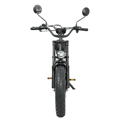 DUOTTS F20 Rear Hub Motor 52V 27Ah  Electric Mountain Bike - JE ECORIDE 