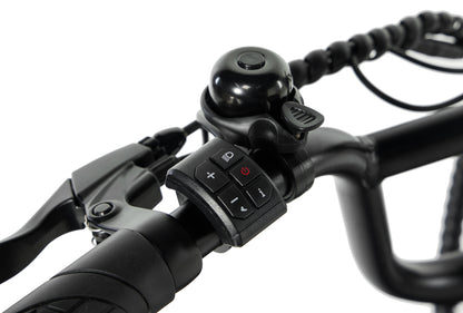 Dark Slate Gray Electric Pixar Ride1 48V500W Bike