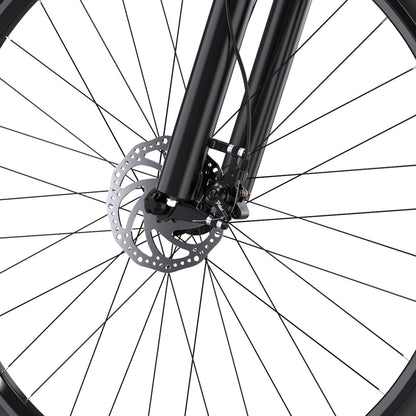 Duotts C29 Single Battery Version Electric Bike