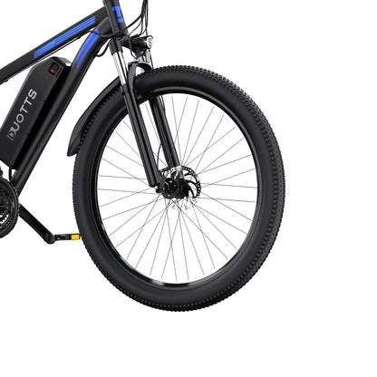 Duotts C29 Single Battery Version Electric Bike