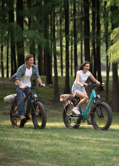 Dark Slate Gray ENGWE E26 250W 140 km Max Speed 25 km/h Dual Suspension All-Terrain E-bike