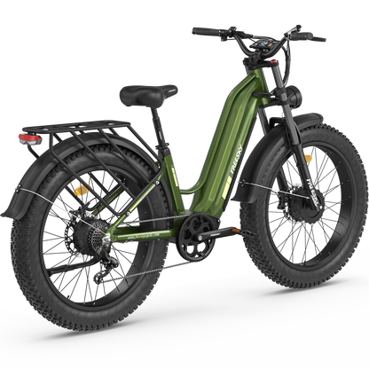 Ranger M-540 Electric Bike